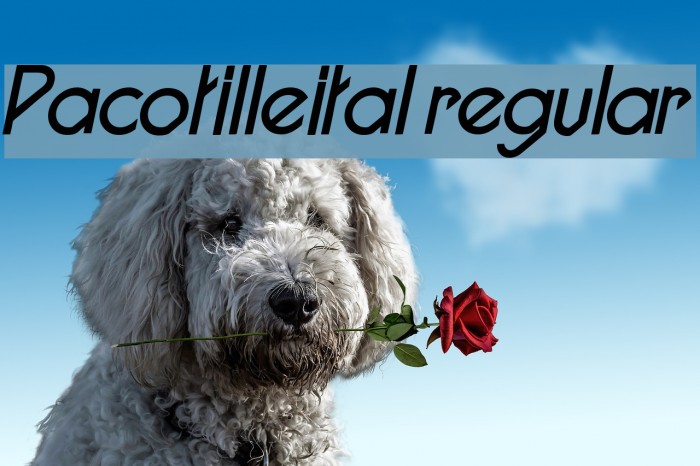 Pacotilleital regular Example 1