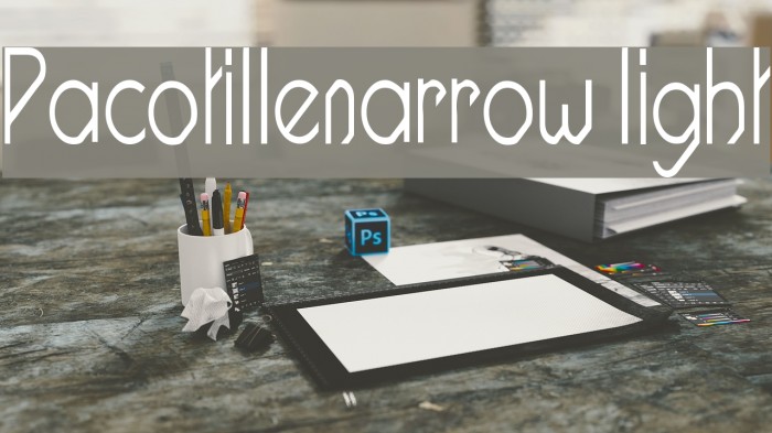 Pacotillenarrow light Example 1