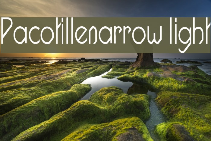 Pacotillenarrow light Example 3