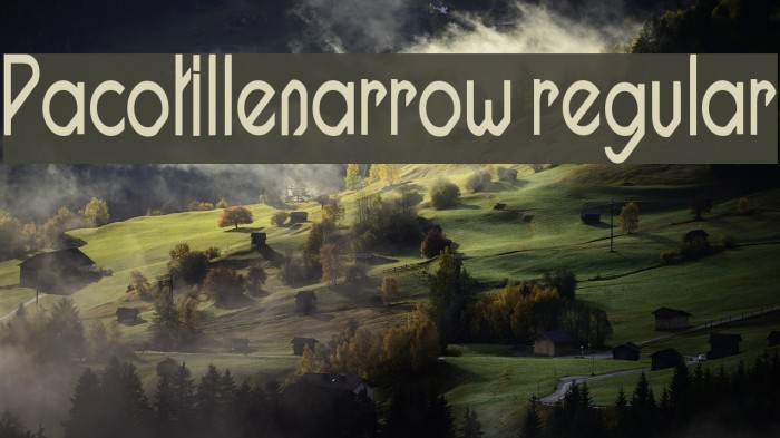 Pacotillenarrow regular Font examples