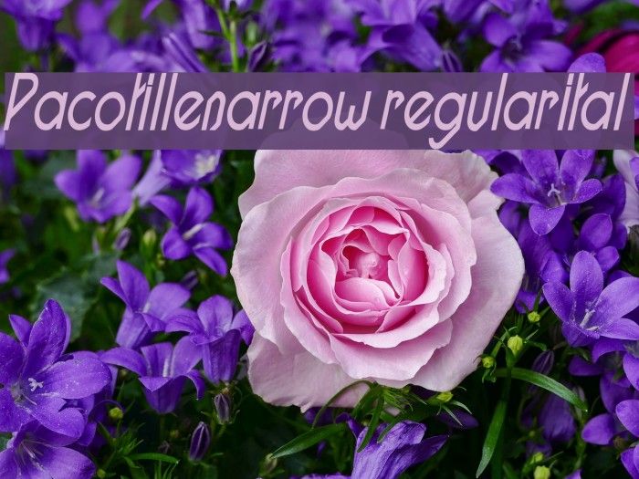 Pacotillenarrow regularital Font examples
