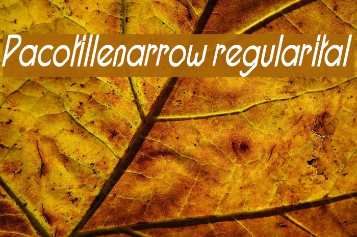Pacotillenarrow regularital Font examples