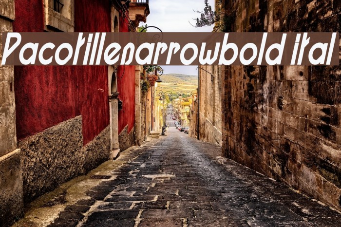 Pacotillenarrowbold ital Font examples