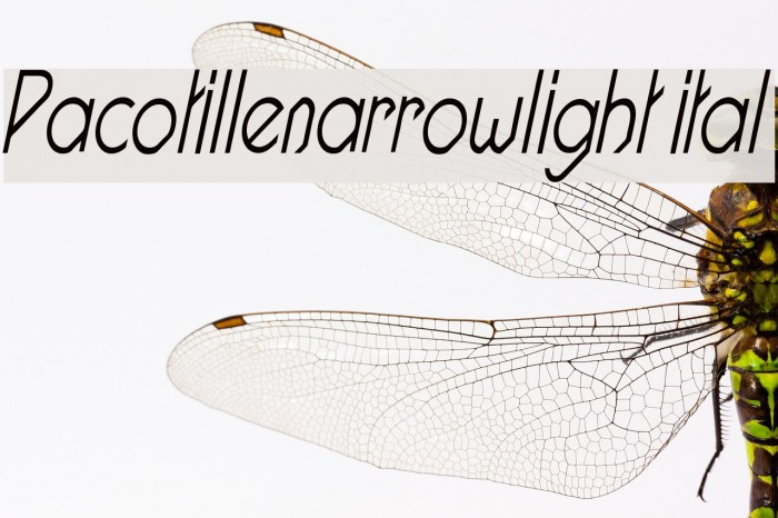 Pacotillenarrowlight ital Font examples