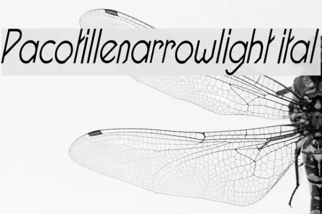 Pacotillenarrowlight ital Font examples