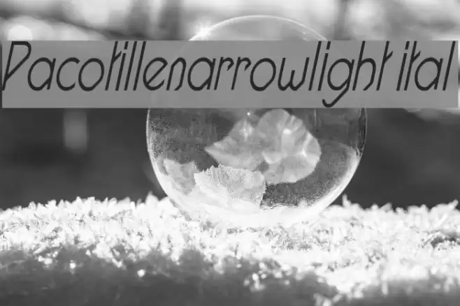 Pacotillenarrowlight ital Font examples