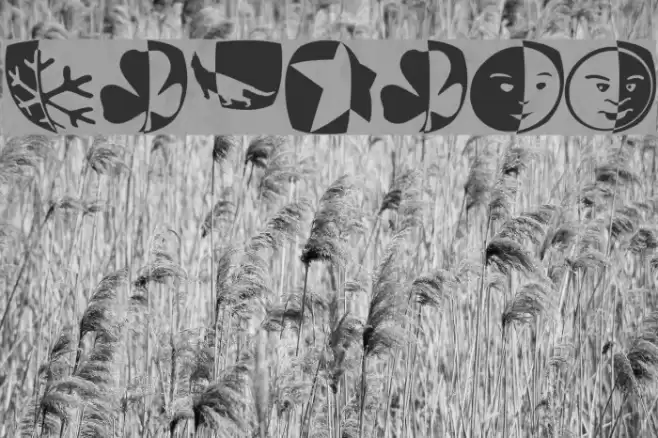 PadBats Font examples