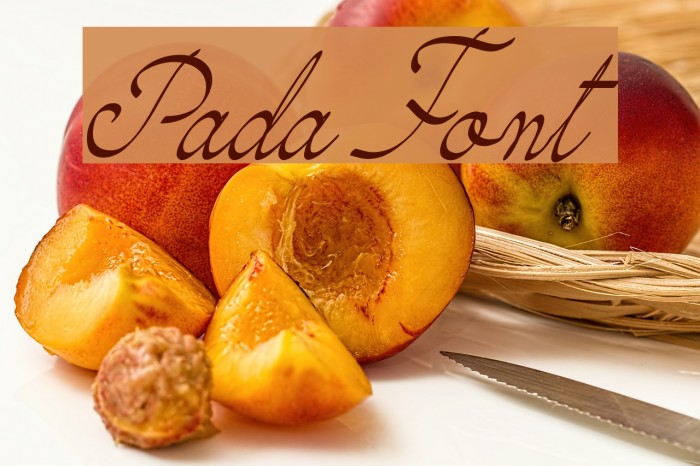 Pada Font examples