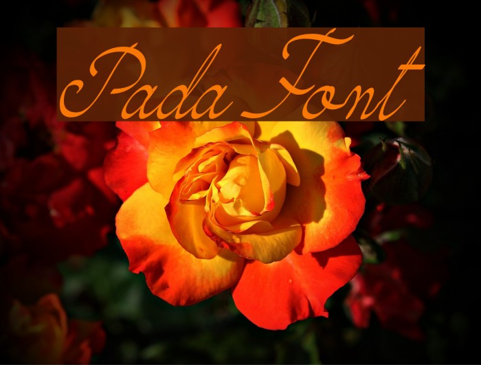 Pada Font examples