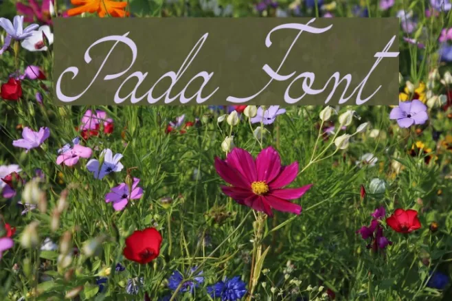 Pada Example 3
