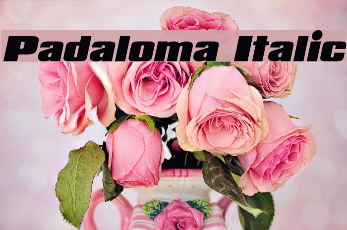 Padaloma Italic Font examples