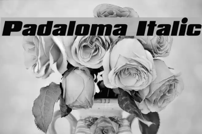 Padaloma Italic Font examples