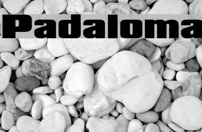 Padaloma Font examples