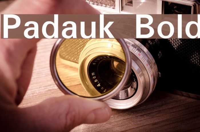 Padauk Bold Font examples