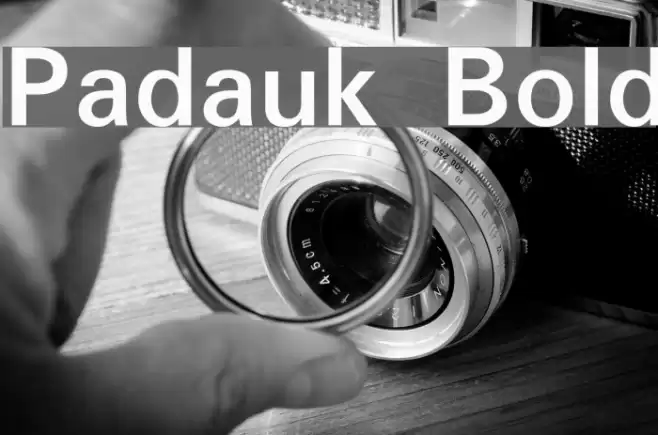 Padauk Bold Font examples
