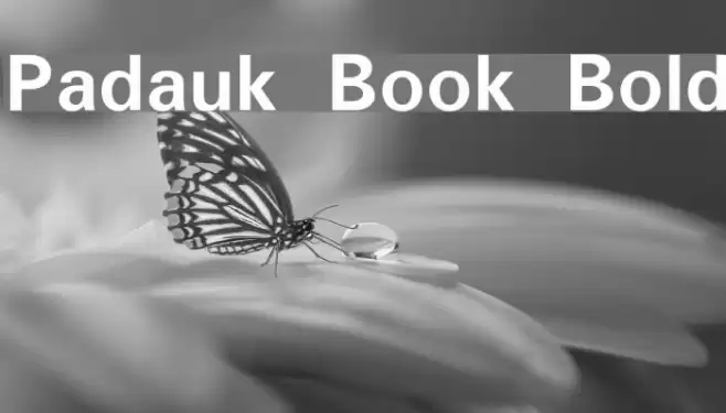 Padauk Book Bold Font examples