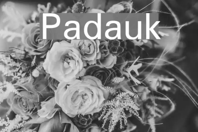 Padauk Font examples