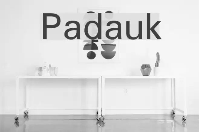 Padauk Font examples