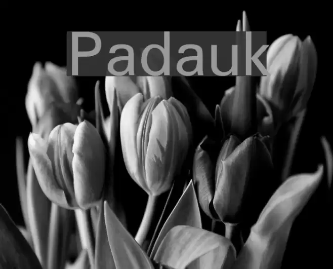Padauk Font examples