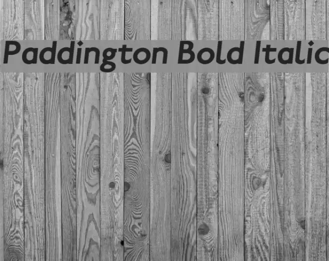Paddington Bold Italic Polices examples