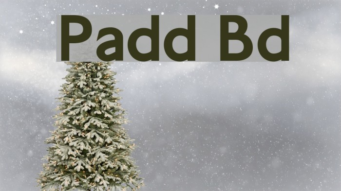 Paddington Bold Font examples