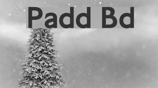 Paddington Bold خط examples