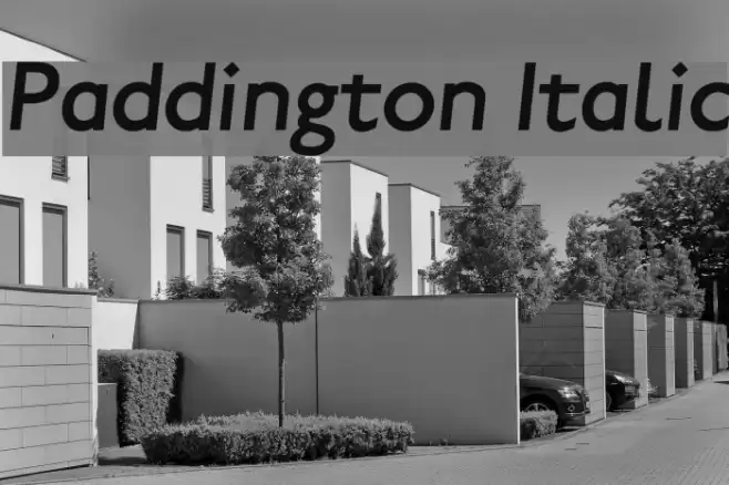 Paddington Italic Font examples
