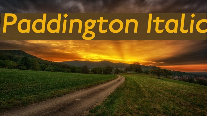 Paddington Italic Font examples