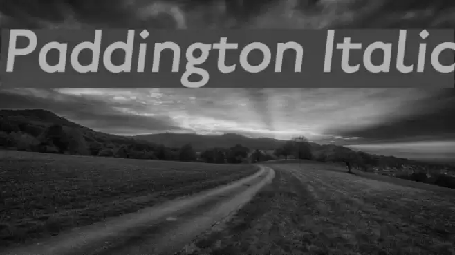 Paddington Italic Font examples