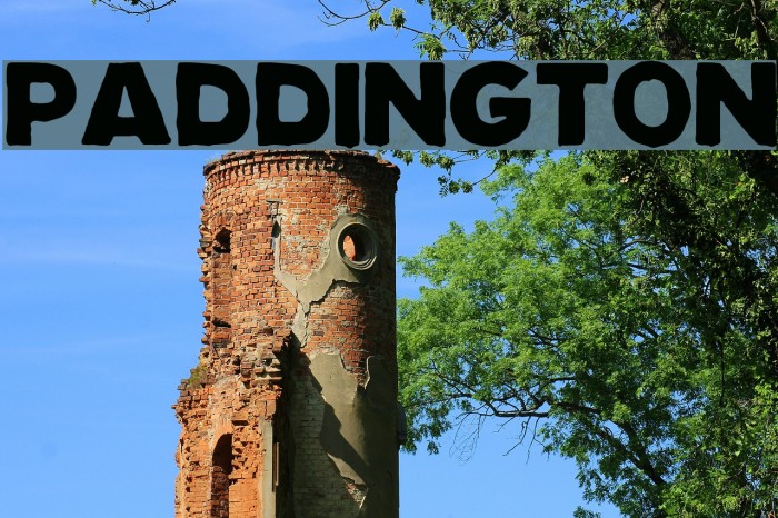 Paddington Font examples