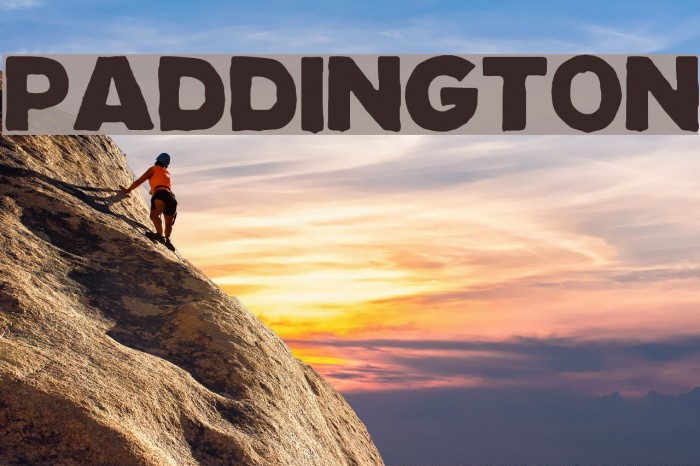 Paddington Font examples