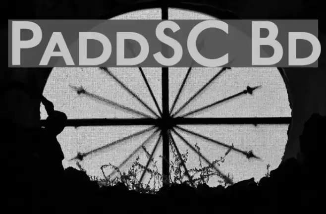 PaddingtonSC Bold Font examples