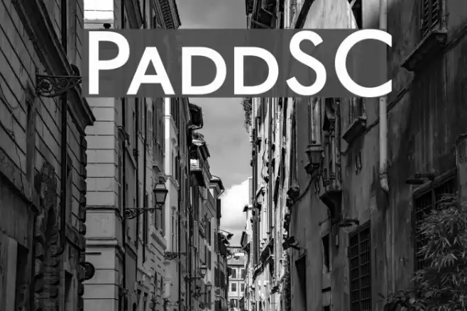 PaddingtonSC Font examples