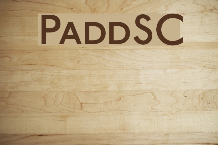 PaddingtonSC Font examples