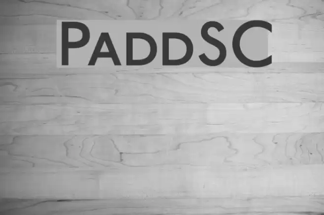 PaddingtonSC Font examples