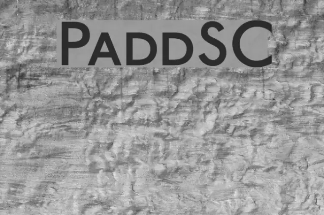 PaddingtonSC Font examples