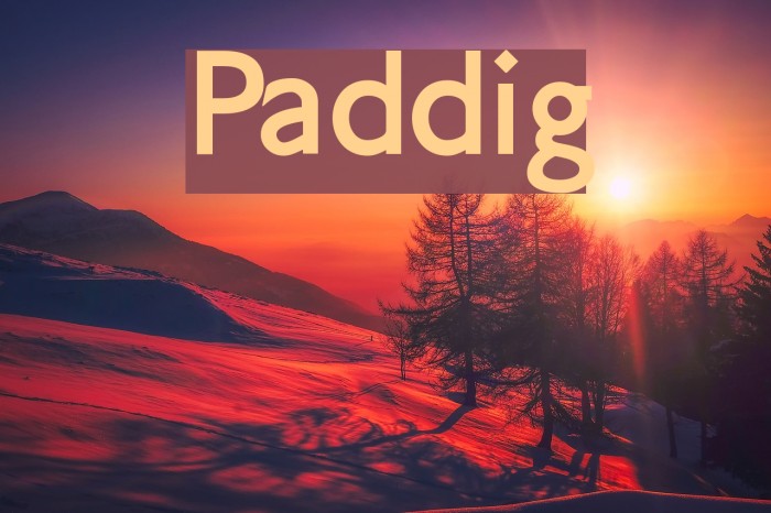 Paddington Font examples