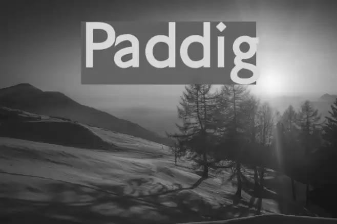 Paddington Шрифта examples