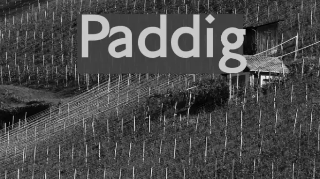 Paddington Шрифта examples