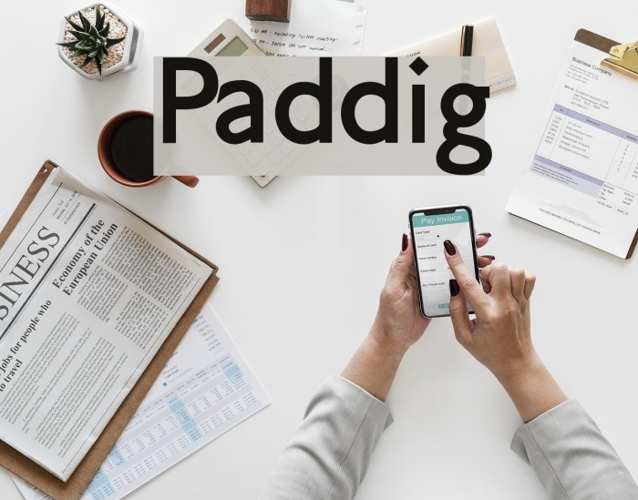 Paddington Font examples