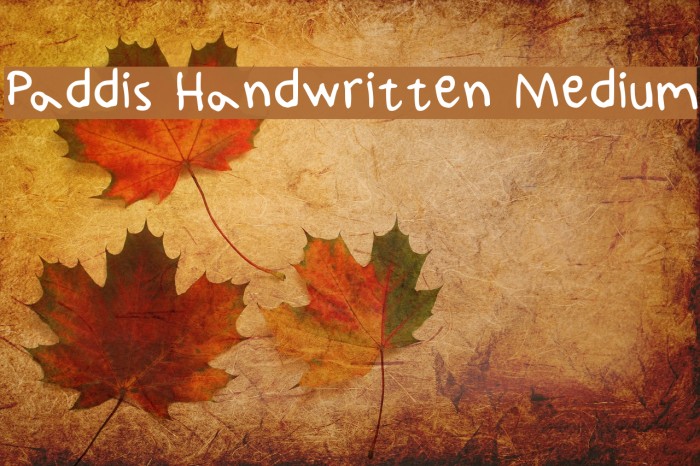 Paddis Handwritten Medium Font examples