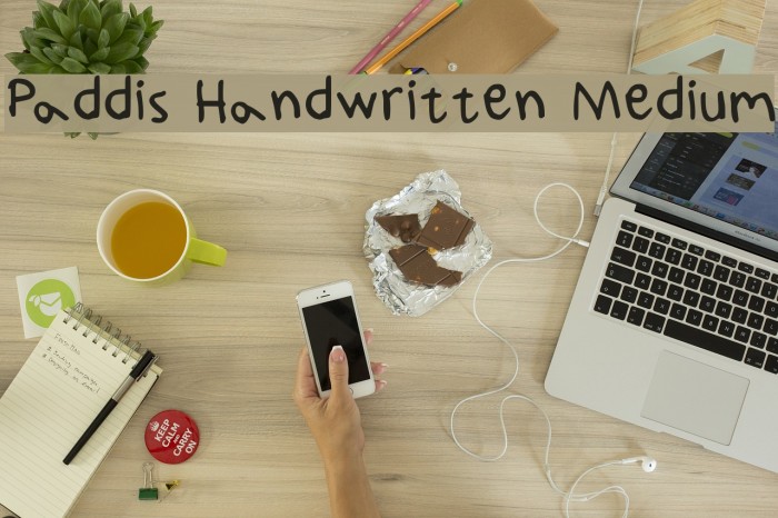 Paddis Handwritten Medium Font examples