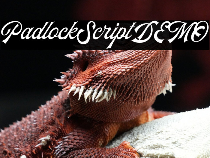 PadlockScriptDEMO Example 2