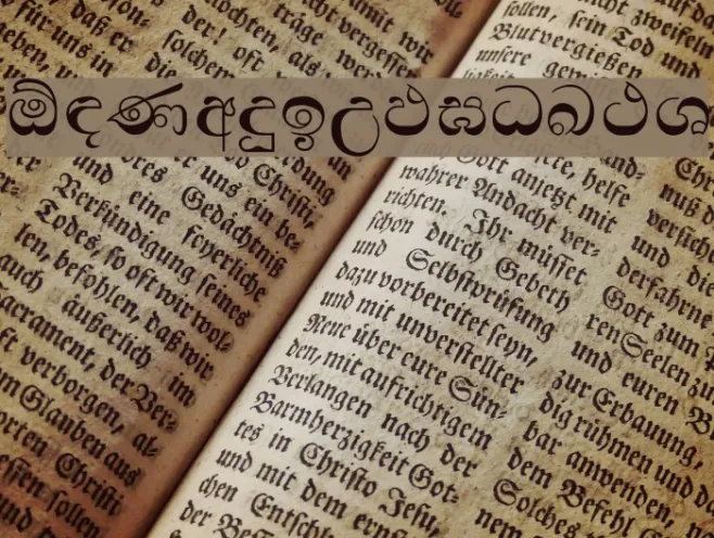 Padma Example 3