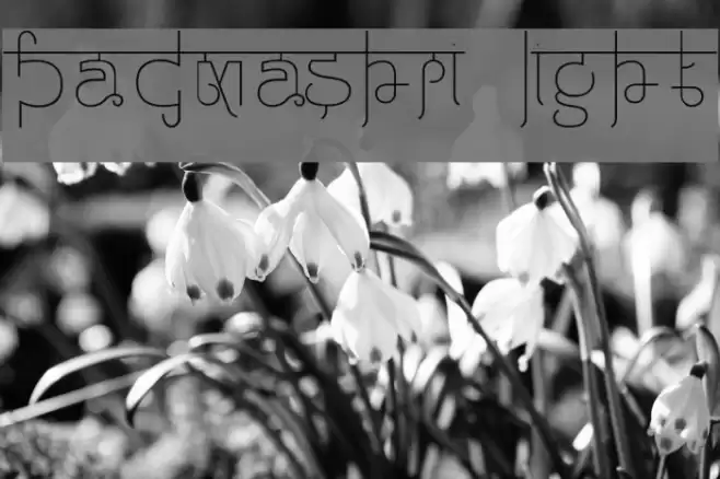 Padmashri Light Font examples