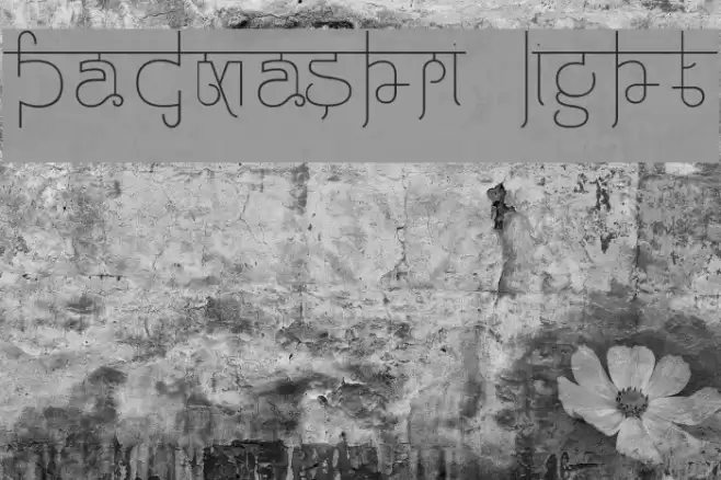 Padmashri Light Font examples