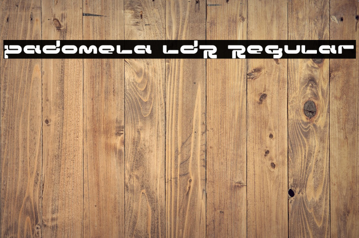 Padomela LDR Regular Example 3