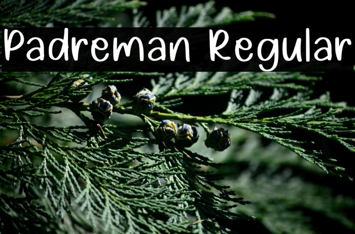 Padreman Regular Example 2