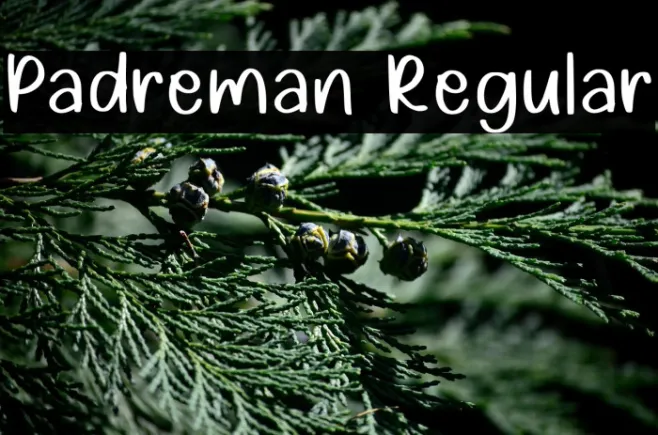 Padreman Regular Example 2