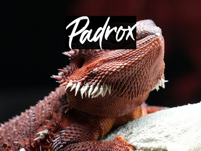 Padrox Example 1